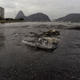 Trash floating near Guanabara Bay, where athletes will compete during the 2016 Summer Olympics. Image: Leo Correa/AP